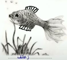 صورة 3